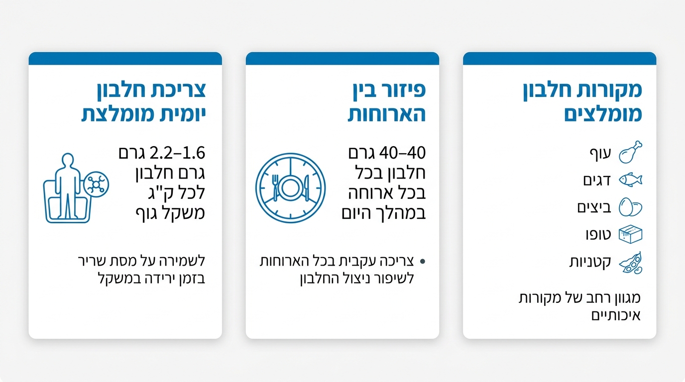 כמה חלבון צריך ביום בזמן ירידה במשקל – מקורות חלבון בריאים